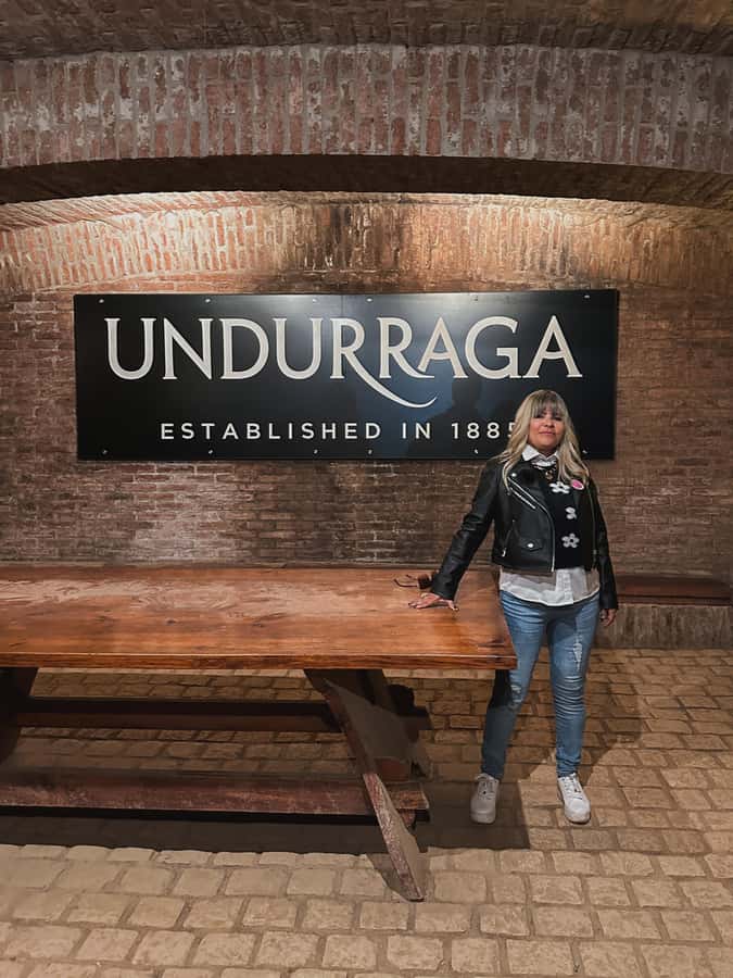 Santiago: Undurraga Winery Tour with Entry and Wine Tasting - Key points to know before you book