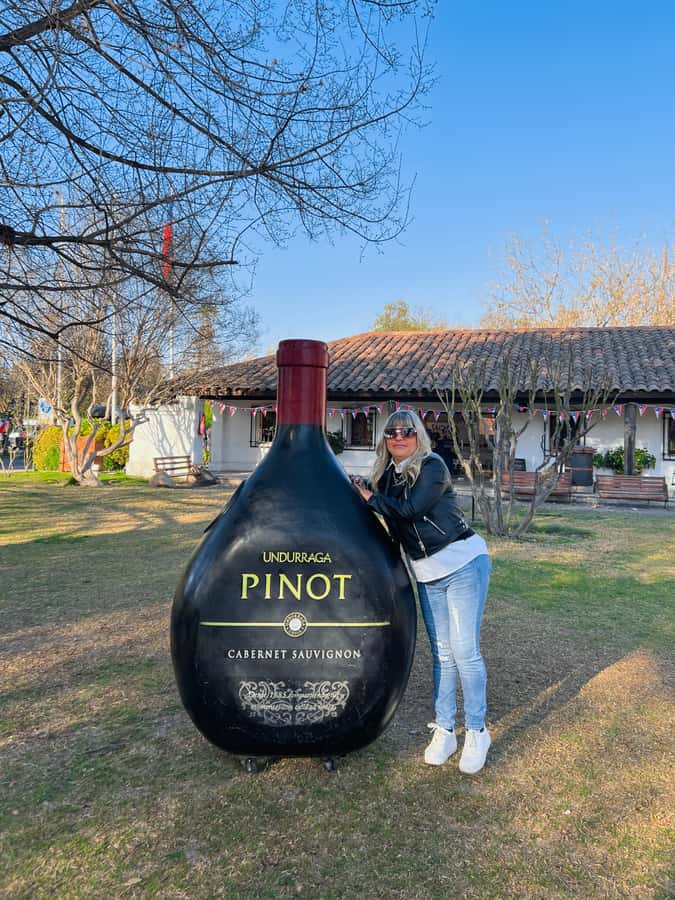 Santiago: Undurraga Winery Tour with Entry and Wine Tasting - Walking through the Undurraga gardens