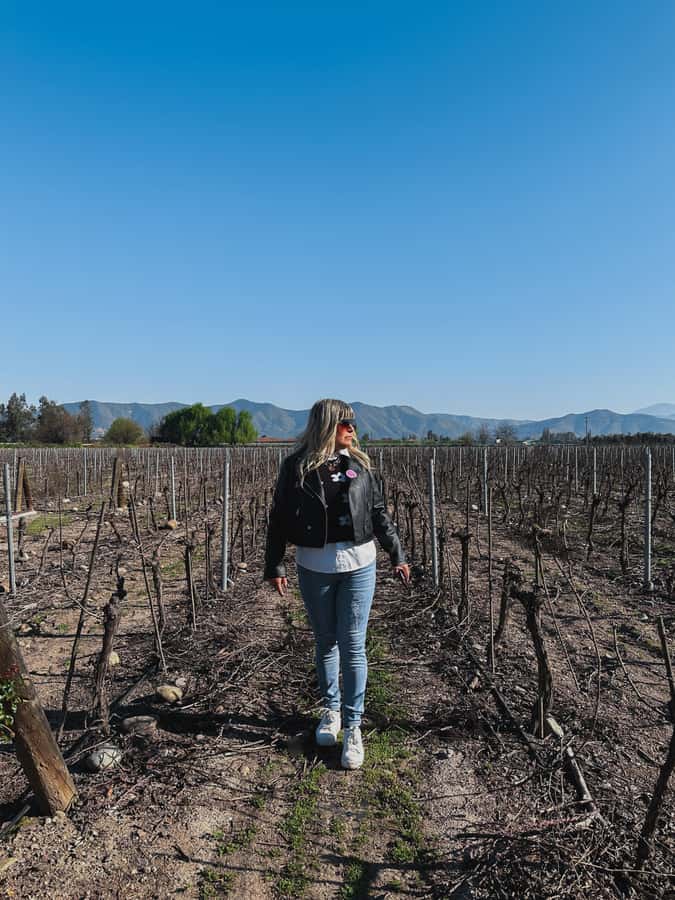 Santiago: Undurraga Winery Tour with Entry and Wine Tasting - From grape production to the underground cellars
