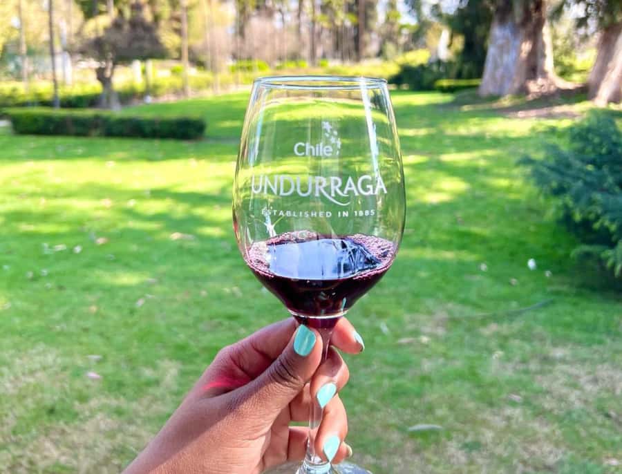Santiago: Undurraga Winery Tour with Entry and Wine Tasting - The Mapuche People Museum adds a cultural layer