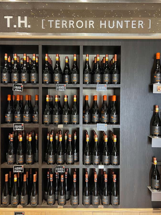 Santiago: Undurraga Winery Tour with Entry and Wine Tasting - Four wines, one hour, and a glass to keep