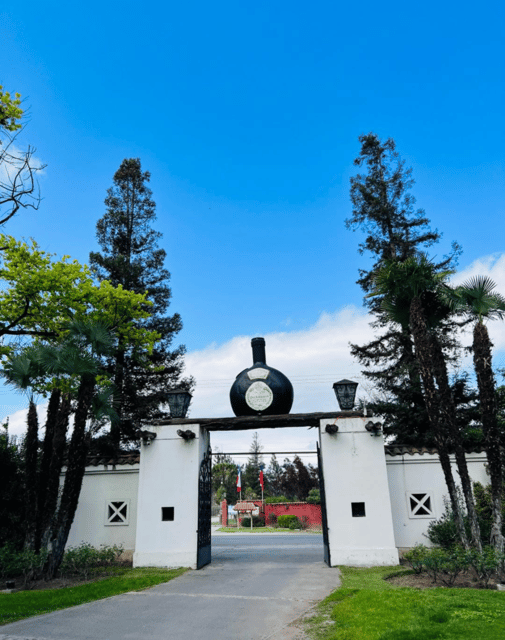 Santiago: Undurraga Winery Tour with Entry and Wine Tasting - How the timing affects the value