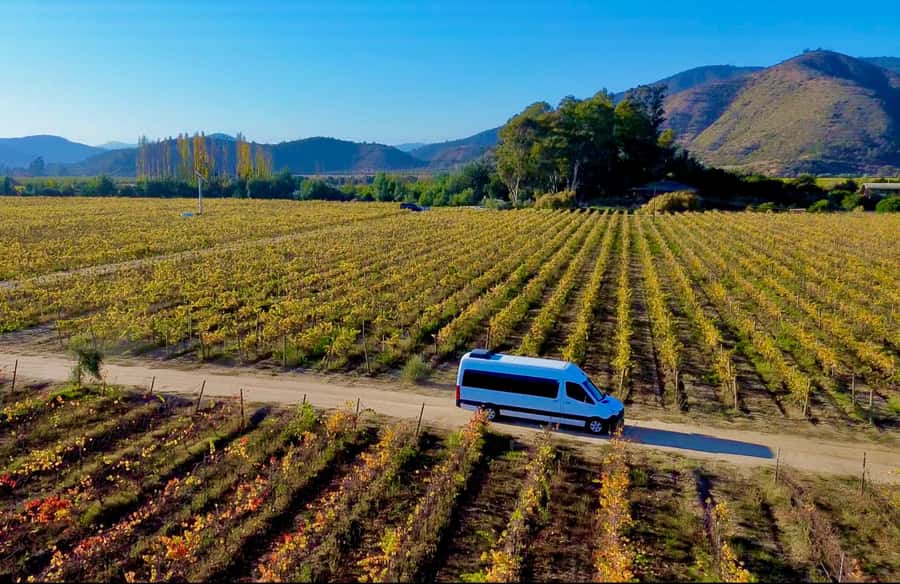 Santiago: Valparaiso, Viña del Mar, & Casablanca Valley Tour - Transport, guides, and group size