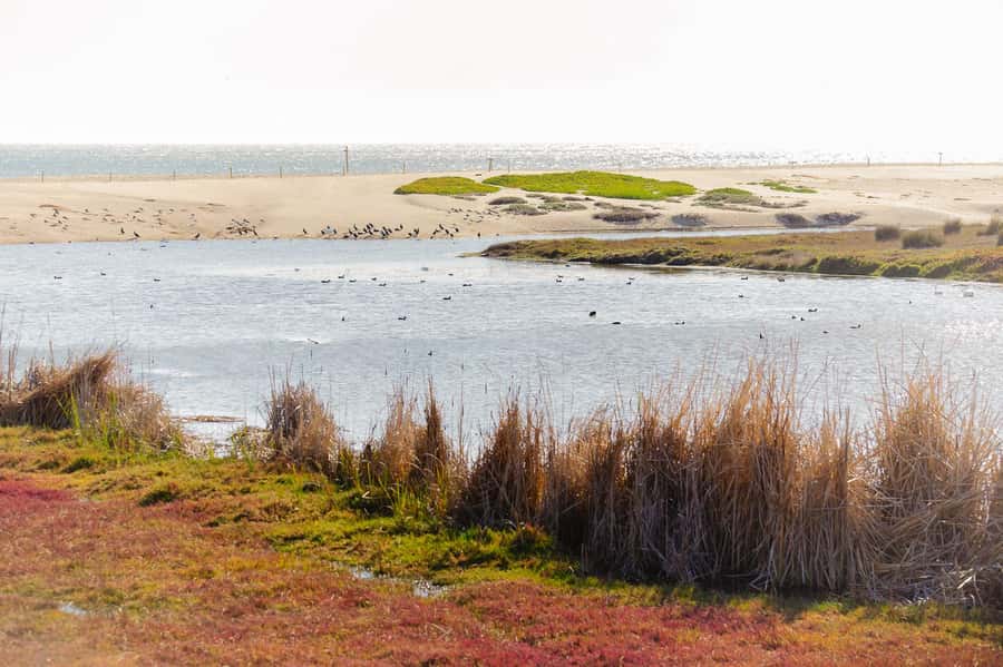 Santiago: Veramonte Vineyard, Isla Negra and Algarrobo, - Who should book this experience?