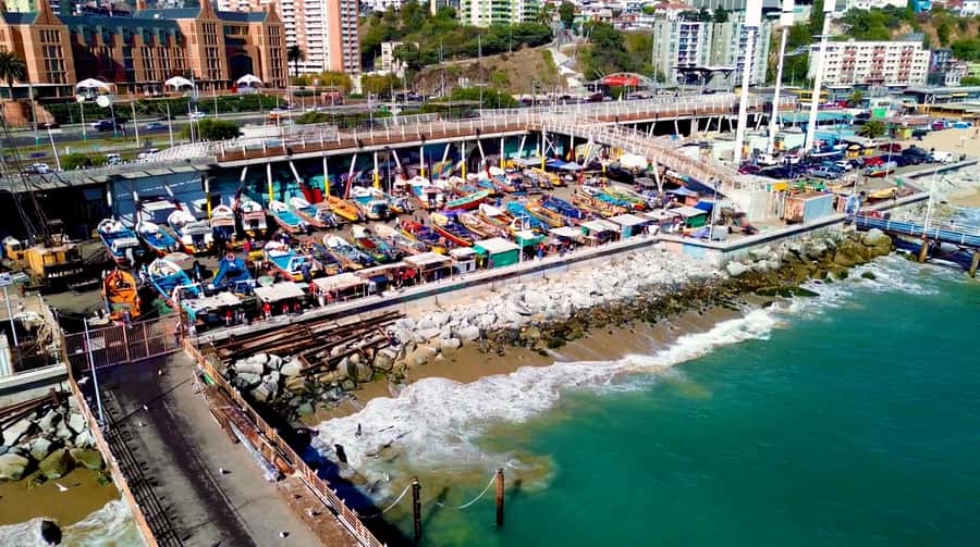 Santiago: Viña del Mar, Valparaiso, with Wine Tasting - Cerro Concepción and free time for lunch