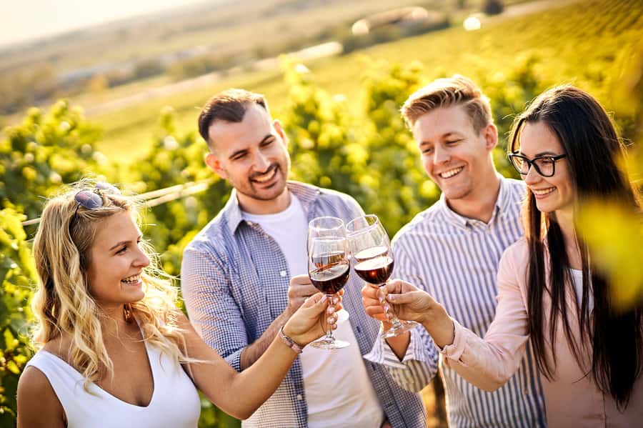 Santiago: World-class Wines, Visit to 4 Vineyards and Tanino - Four things that make this wine day worthwhile