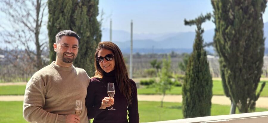 Santiago: World-class Wines, Visit to 4 Vineyards and Tanino - The best way to prepare