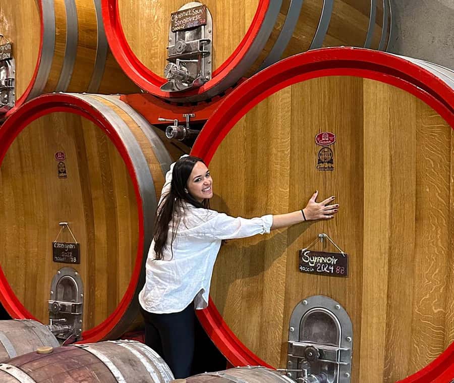 Santiago: World-class Wines, Visit to 4 Vineyards and Tanino - Why the Casablanca Valley makes a fine day trip
