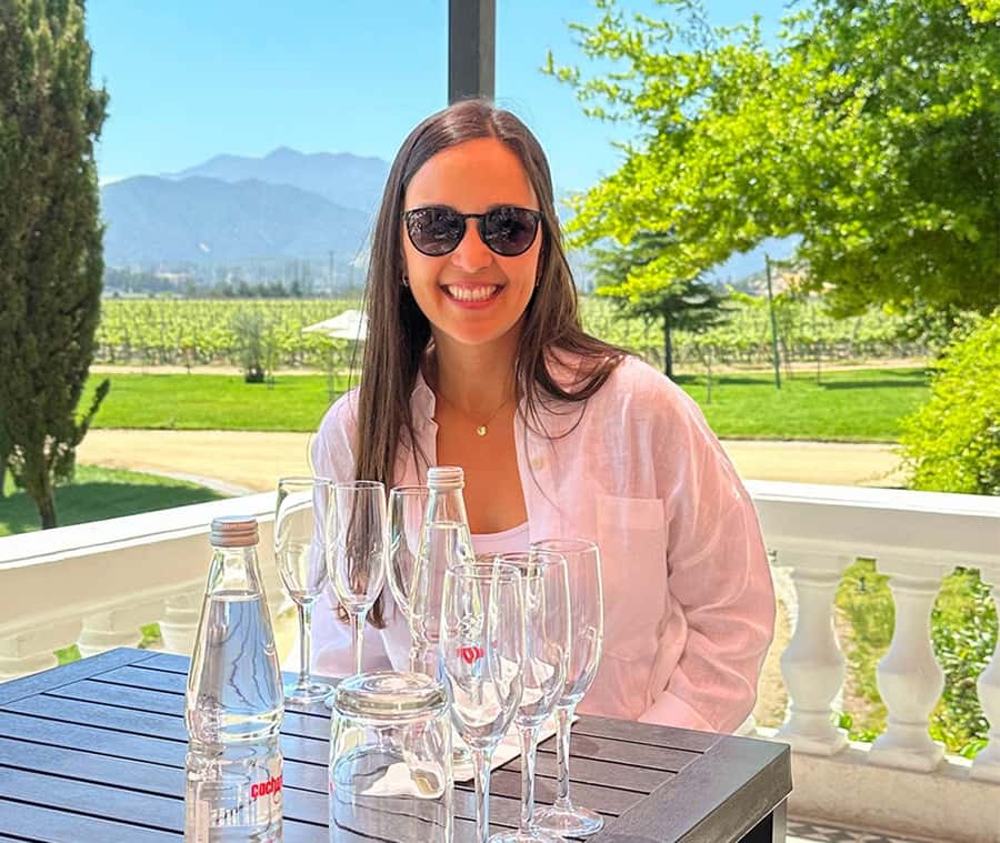 Santiago: World-class Wines, Visit to 4 Vineyards and Tanino - Emiliana Organic Vineyards: start with sustainable wine