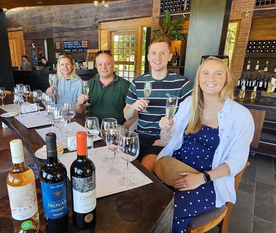 Santiago: World-class Wines, Visit to 4 Vineyards and Tanino - Bodegas RE: a boutique change of pace