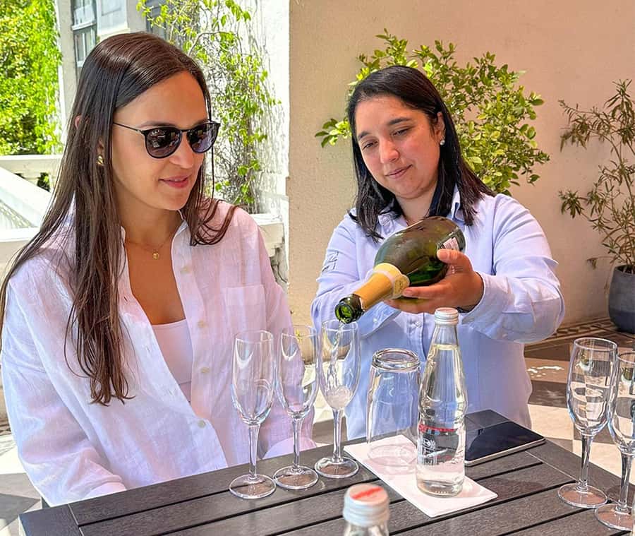 Santiago: World-class Wines, Visit to 4 Vineyards and Tanino - Transport, timing, and the value of $149