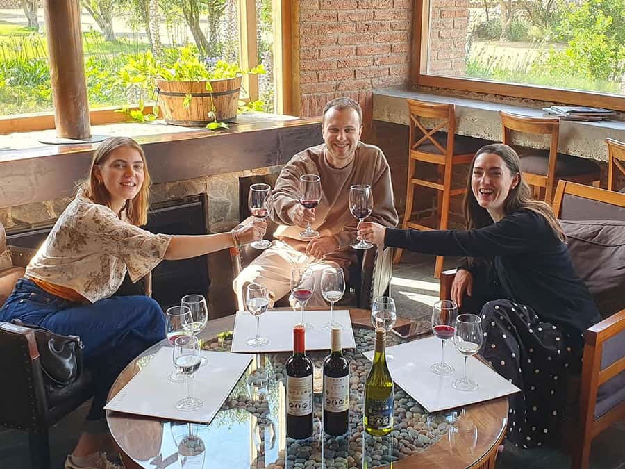 Santiago: World-class Wines, Visit to 4 Vineyards and Tanino - A small group and a guide who earns his keep