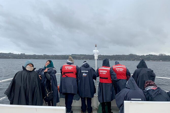Scenic Catamaran Tour on Llanquihue lake - Who will enjoy this Catamarán Bandurria trip?