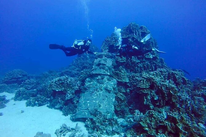 Scuba Diving Experience on Easter Island with Hotel Pickup - Key points to know before booking