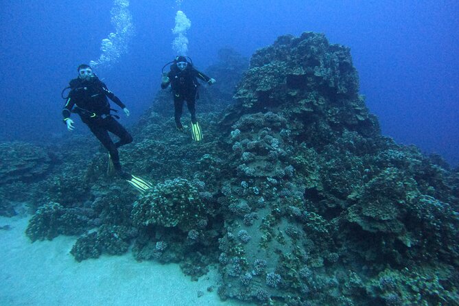 Scuba Diving Experience on Easter Island with Hotel Pickup - Seeing moai beneath the Pacific surface