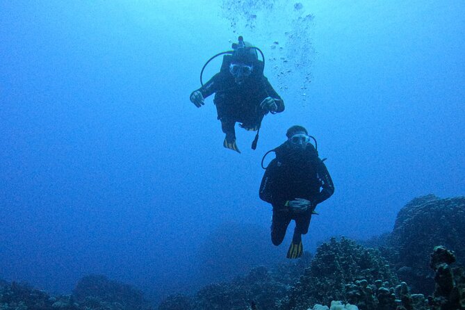 Scuba Diving Experience on Easter Island with Hotel Pickup - Hotel pickup makes the timing easier
