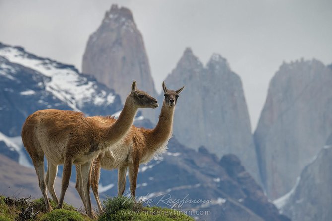 Self Drive Experience in Torres del Paine National Park - 6 Days - Day 1: Punta Arenas and the Strait of Magellan