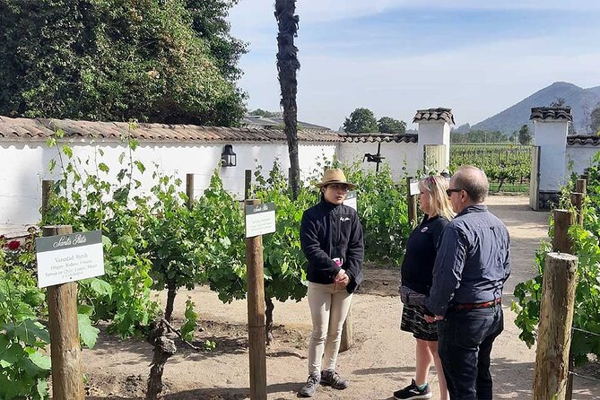 Sensory Experience Half Day Tour of Winerie Concha y Toro - Plaza Concha y Toro and the Wine Center Store