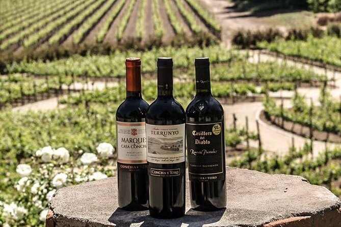 Sensory Experience Half Day Tour of Winerie Concha y Toro - Concha y Toro Park and Casa Don Melchor
