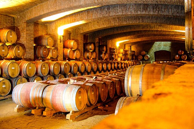 Shell and bull vineyard New experience - What the service may feel like in practice