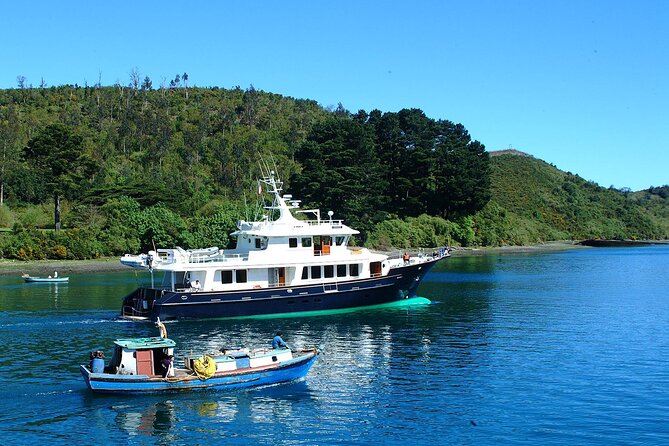 Sightseeing Tour in Puerto Varas & Puerto Montt - Angelmó: Fish, Crafts, and a Working Waterfront