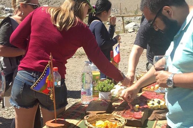 Small-Group Cajón del Maipo Full-Day Tour and Picnic - The Road Into the Valley