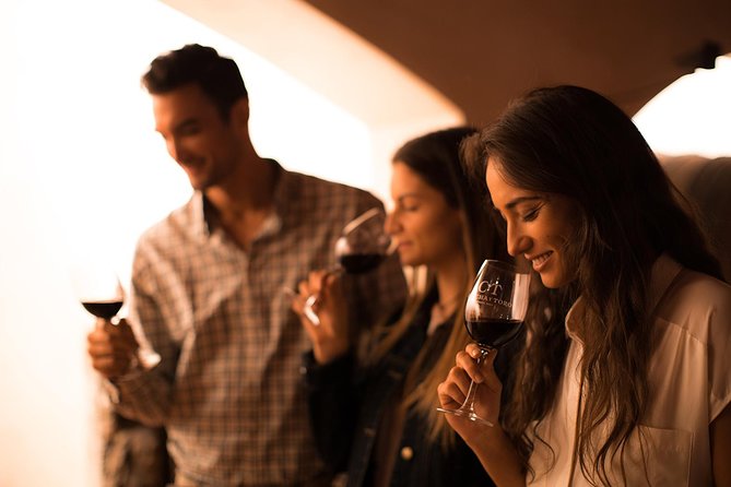Small-Group Half Day Tour to Concha y Toro Winery - Key Points Before You Book
