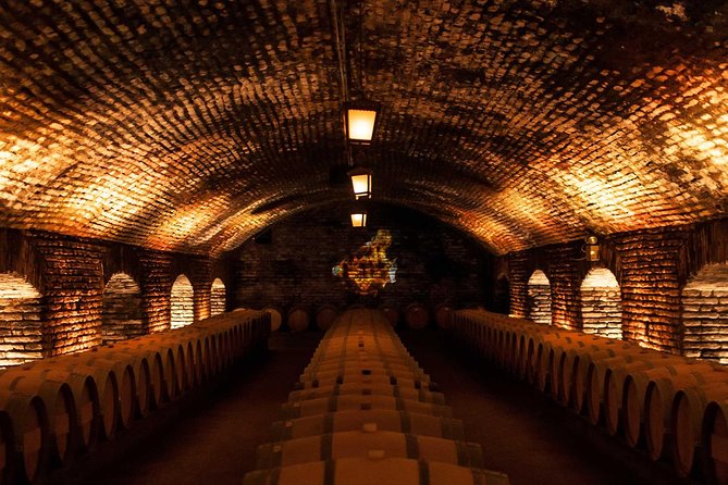 Small-Group Half Day Tour to Concha y Toro Winery - Walking Through the Concha y Toro Family Estate