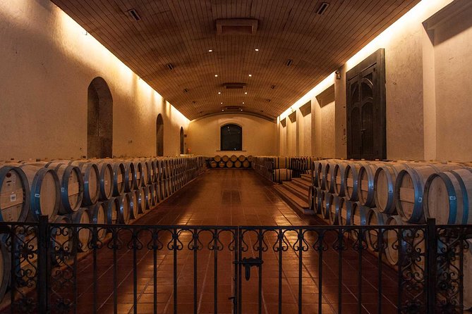 Small-Group Half Day Tour to Concha y Toro Winery - Practical Details That Make the Day Easier