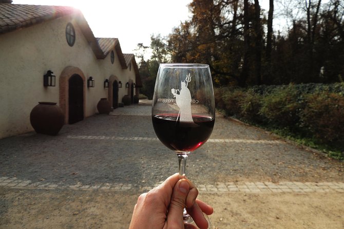 Small-Group Half Day Tour to Concha y Toro Winery - The Maipo Alto Wine Route: Two Hours of Setting and Tasting Ideas