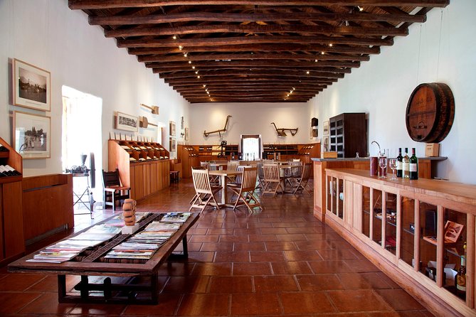 Small-Group Maipo Vineyards Full-Day Experience with Optional Lunch - Santa Rita: old cellars, Chilean history, and the Andean setting