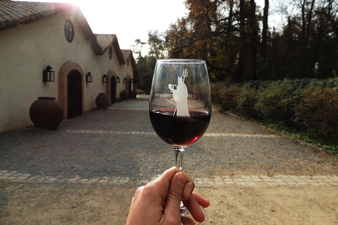 Small-Group Maipo Vineyards Full-Day Experience with Optional Lunch - Aquitania and Cousiño Macul: confirm the exact plan