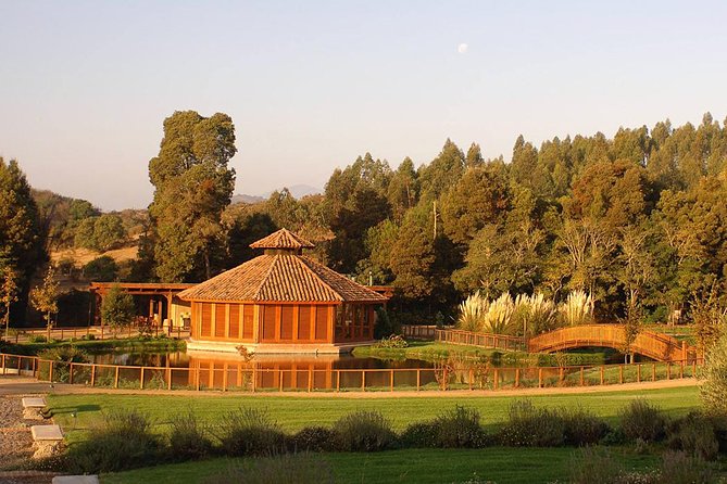 Small-Group Tour at Matetic Vineyard in Rosario Valley from Santiago - Key points to know before you book
