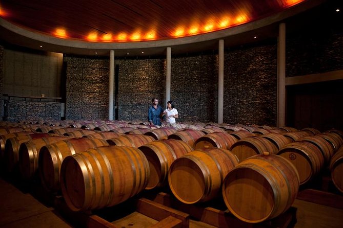 Small-Group Tour at Matetic Vineyard in Rosario Valley from Santiago - What the $110.90 price really covers