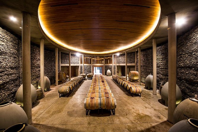 Small-Group Tour at Matetic Vineyard in Rosario Valley from Santiago - Who will enjoy this experience most