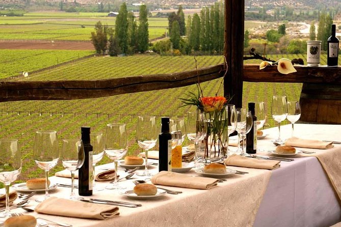 Small-Group Tour: Portillo Ski Center, Inca Lagoon plus Premium Wineries in Aconcagua Valley - The 8:30 a.m. departure from Santiago