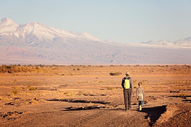 Small-Group Tour to Moon Valley from San Pedro de Atacama - Is $65 good value?