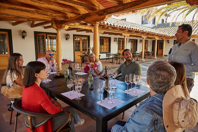 Small Group Wines and Flavours Guided Walking Tour - The three-wine tasting and Chilean snacks