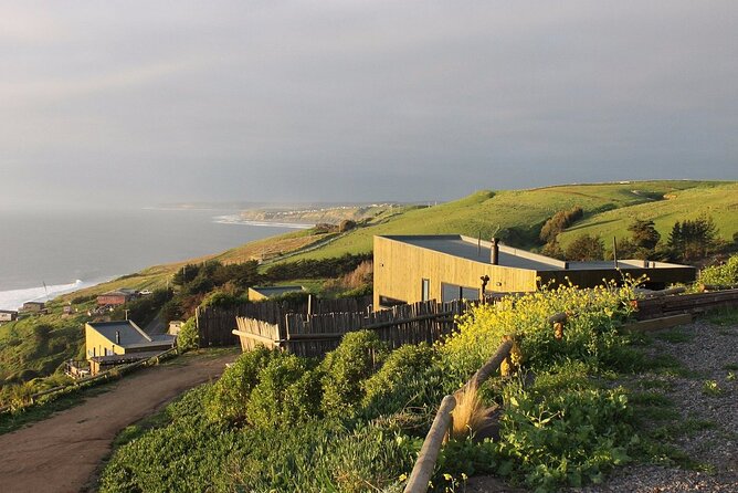 Southcoast - Private Full-Day tour - Two Hours in Matanzas, Chile’s Surf Town