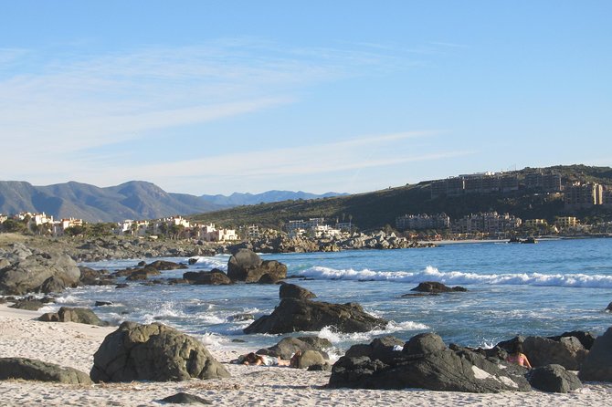 Spas and Beaches Tour: La Herradura -Totoralillo - Guanaqueros -Tongoy - Tongoy: the day’s strongest food and nature stop
