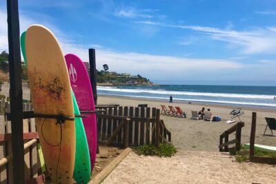 Surfing, Sandboarding & wild Sea lions + Chilean drinks & food