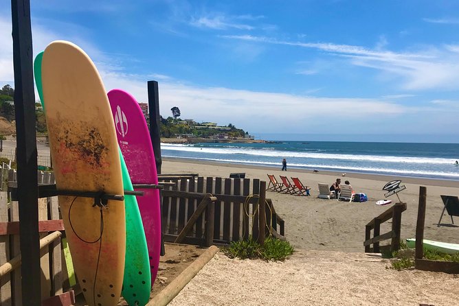 Surfing, Sandboarding & wild Sea lions + Chilean drinks & food - Riding through Valparaíso and Viña del Mar