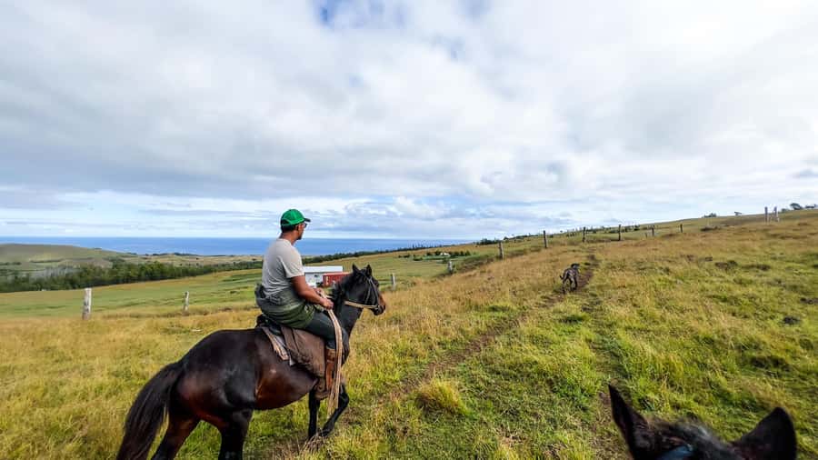Terevaka Horse Excursion: The highest point and 360° view. - Key points before you book