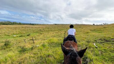Terevaka Horse Excursion: The highest point and 360° view.