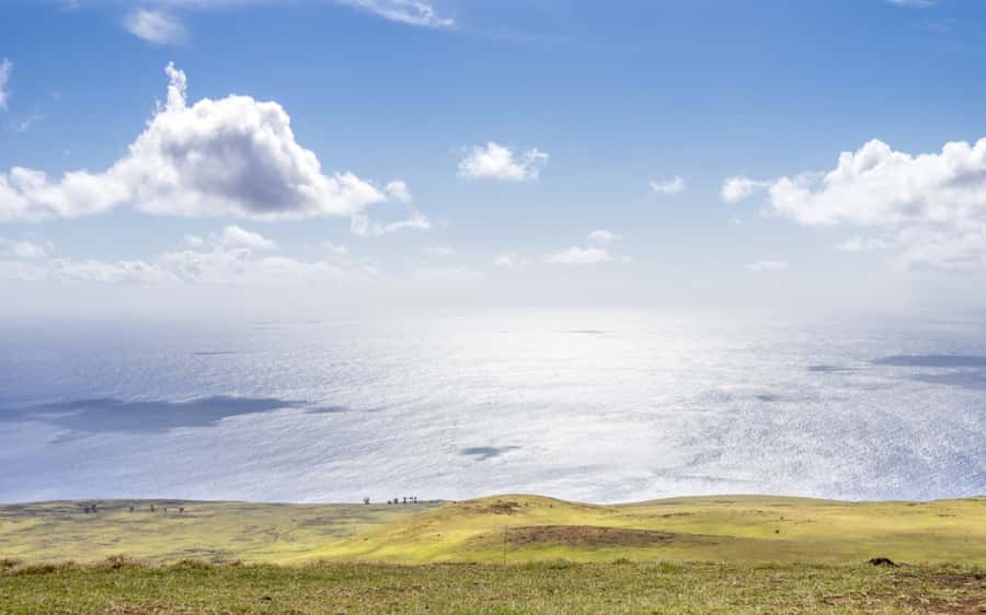 Terevaka Horse Excursion: The highest point and 360° view. - Reaching Terevaka and taking in the 360-degree view