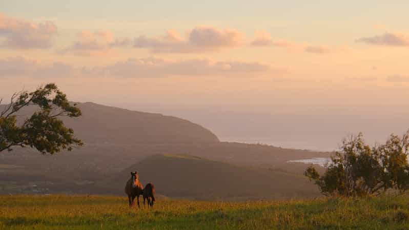 Terevaka Mount: Morning Horseback Riding & Planting Tour - Key points to know before booking