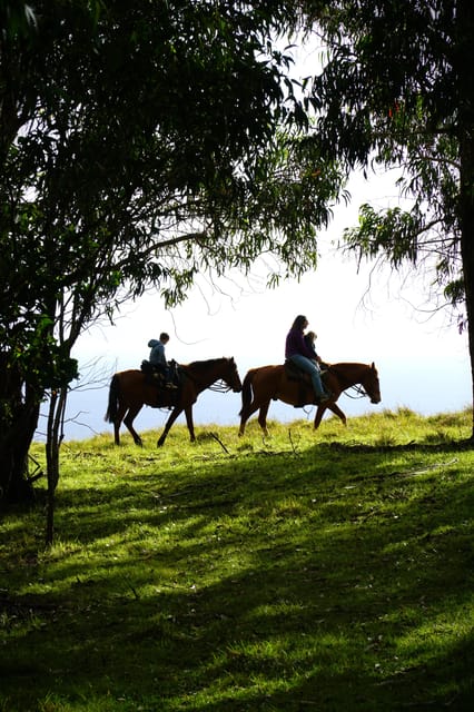 Terevaka Mount: Morning Horseback Riding & Planting Tour - Why Mount Terevaka is best seen slowly
