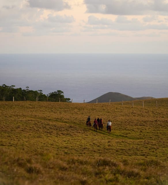 Terevaka Mount: Morning Horseback Riding & Planting Tour - Rano a Roi and the climb toward the summit