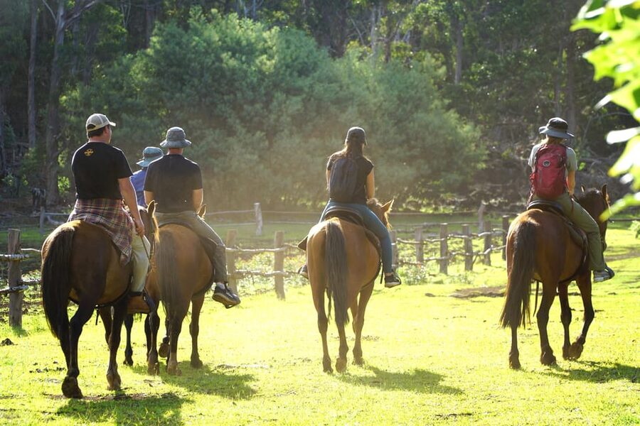 Terevaka Mount: Morning Horseback Riding & Planting Tour - The Terevaka summit pause