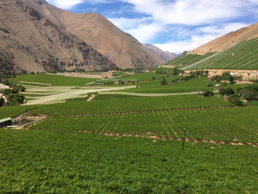 The Magnificient Elqui Valley Grand Tour - Vicuña and the world of Gabriela Mistral